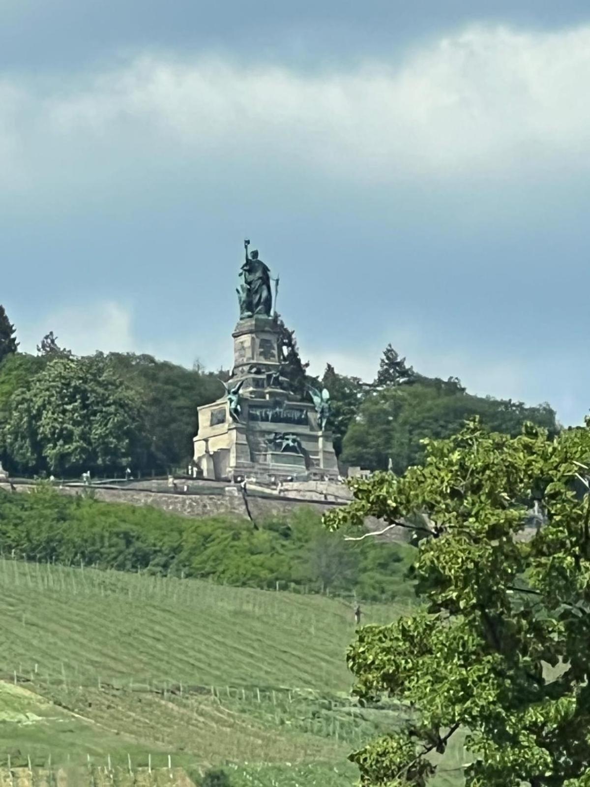 Design Am Rhein - Traumlage Rheinufer I Kueche I Oeffentl Parkplaetze Lägenhet Bingen am Rhein Exteriör bild